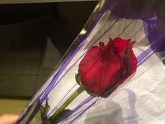 -海底捞火锅(津南永旺店生日主题店)