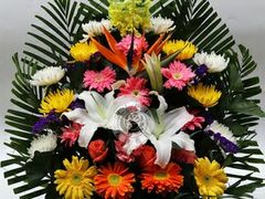 -南京金牛湖风景区