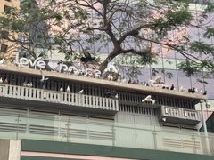 -中航城君尚购物中心