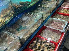 -望海潮海鲜店 特色家常菜(在海一方店)