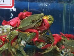 -三辣馆