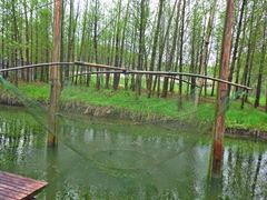 -溱湖国家湿地公园