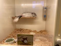 -龙猫仔乐园(惠福东路店)