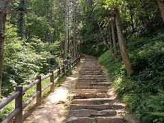 -冶父山国家森林公园