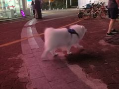 -招商银行(深圳东滨支行)