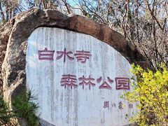 -白水寺森林公园