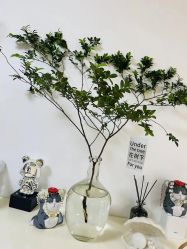 -美肤盾祛痘·问题肌头疗管理中心