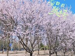 -太阳宫公园