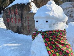 -横道河子东北虎林园