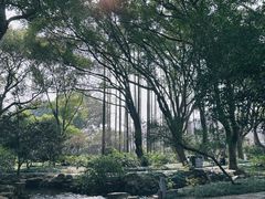 -上海醉白池公园