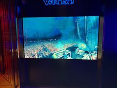 -温莎KTV(国贸店)