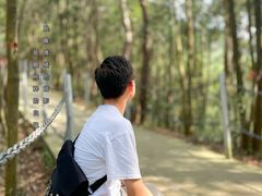 -浏阳石牛寨风景区
