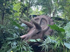 -海南热带野生动植物园