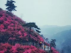 -木兰云雾山