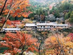 -岚山嵯峨野观光小火车
