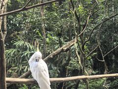 -普洱太阳河森林公园