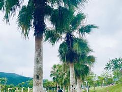 -白石龙音乐公园