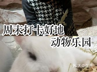 周末打卡好低地，动物乐园