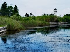 -鹦鹉洲湿地公园