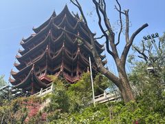 -黄鹤楼公园(黄鹤楼)