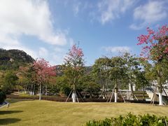 -厦门国家会计学院