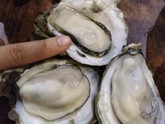 -土蚝·高压锅生蚝(百姓美食街店)
