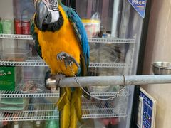 -观桥阁(锦溪店)