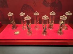 -北京大葆台遗址博物馆