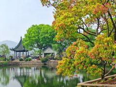 -无锡蠡湖国家湿地公园-蠡园