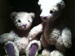 iphone_upload_pic-济州岛泰迪熊博物馆