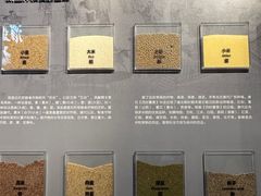 -隋唐大运河文化博物馆