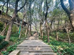 -宁波市保国寺古建筑博物馆