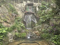 -南丹山森林王国