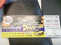 -枫花园汽车电影院(朝阳公园店)