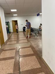 -上海交通大学医学院附属上海儿童医学中心(陆家嘴总院区)