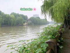 -运河游船(武林门码头)