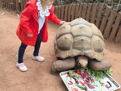 -昆明动物园