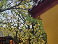 -南山风景名胜区