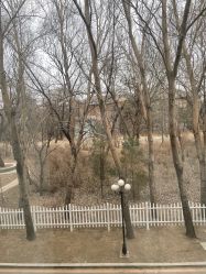 -皇家月府月子中心(沈阳店)