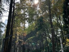 -苏州河梦清园环保主题公园