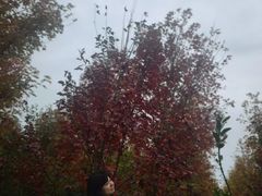 -白鹭湾湿地公园