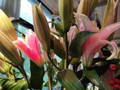 -春暖花开(西溪店)