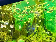 -大连老虎滩海洋公园