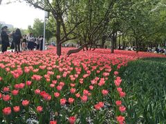 -长春公园(普阳街道)