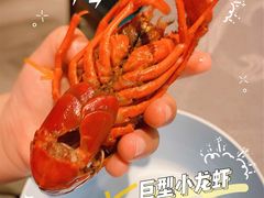 -洪福龙虾