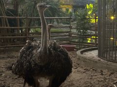 -孔雀湖生态旅游区
