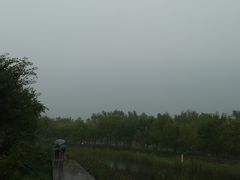 -东郊湿地公园