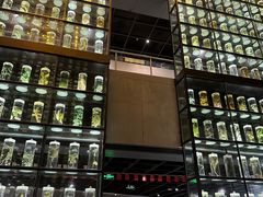 -广东中医药博物馆