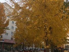 -东北大学(南湖校区)