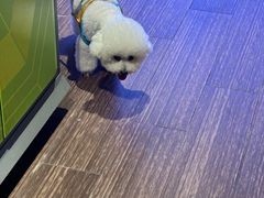 -海底捞火锅(创意园店)